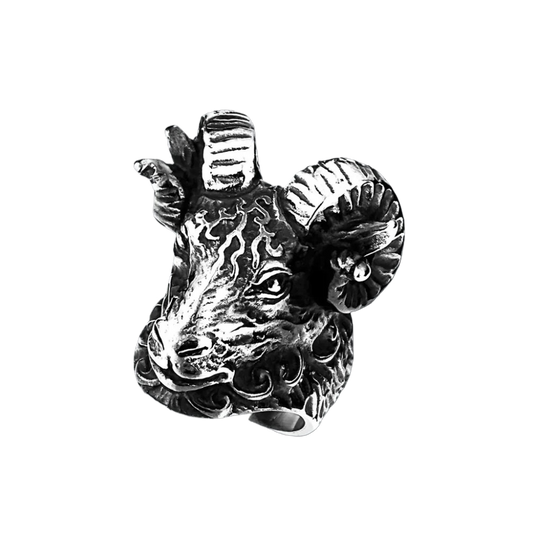 [ LINK_#09B ] 3Dラムヘッドヘリックスインプラント